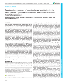 Functional Morphology of Tegmina-Based Stridulation in the Relict Species Cyphoderris Monstrosa (Orthoptera: Ensifera: Prophalangopsidae) Benedict D