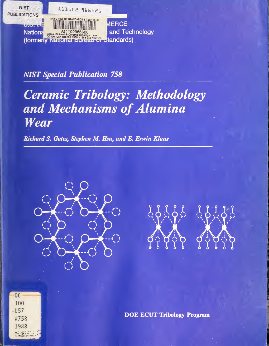 Ceramic Tribology: Methodology and Mechanisms of Alumina Wear