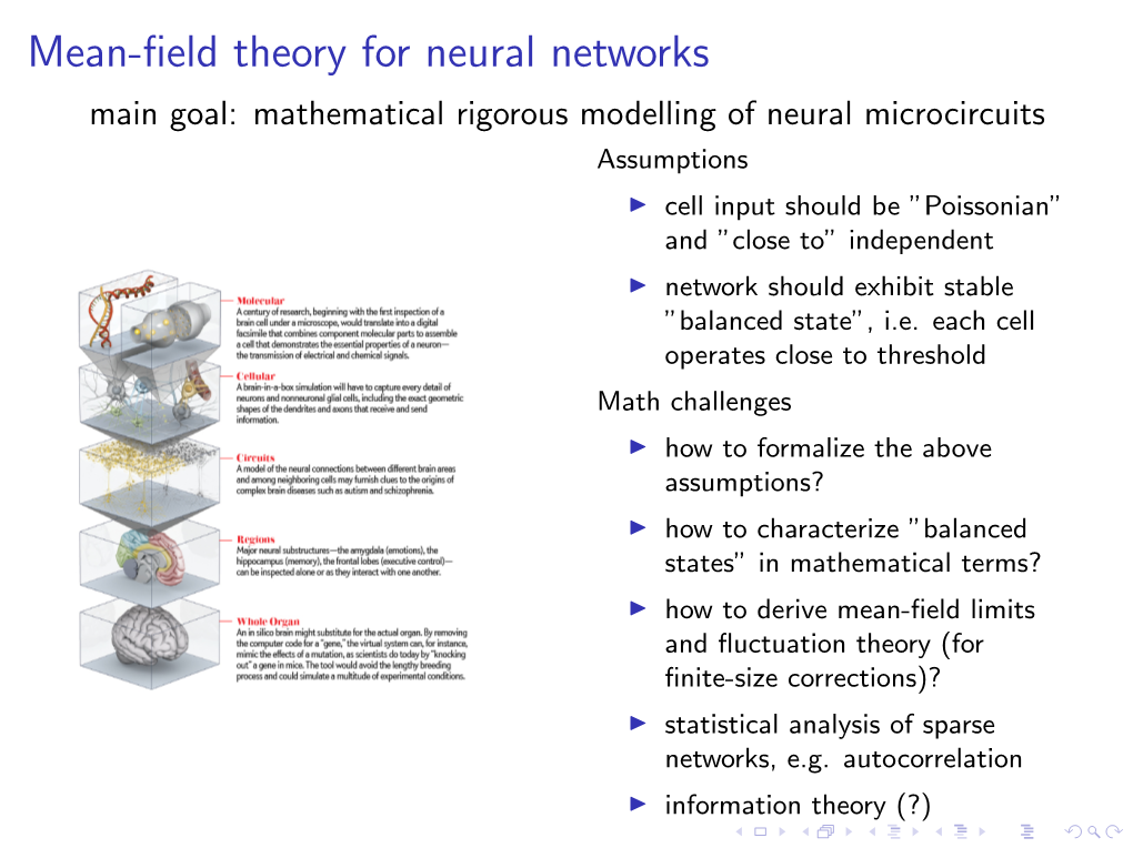 Stochastic Mean-Field Theories for Brain Networks