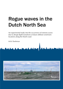 Rogue Waves in the Dutch North Sea