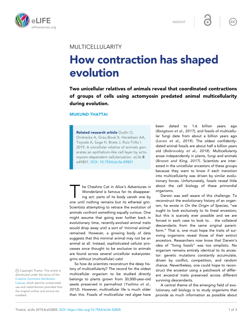 How Contraction Has Shaped Evolution