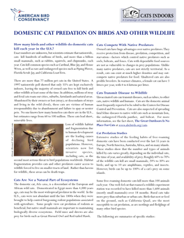 Domestic Cat Predation on Birds and Other Wildlife
