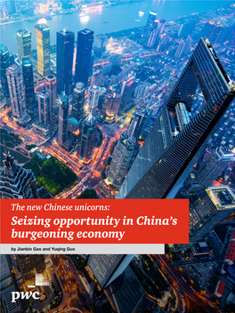 Seizing Opportunity in China's Burgeoning Economy