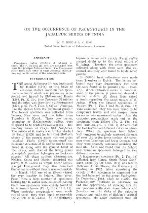 ON the OCCURRENCE of PACHYPTERIS in the Jabalpllr SERIES of INDIA