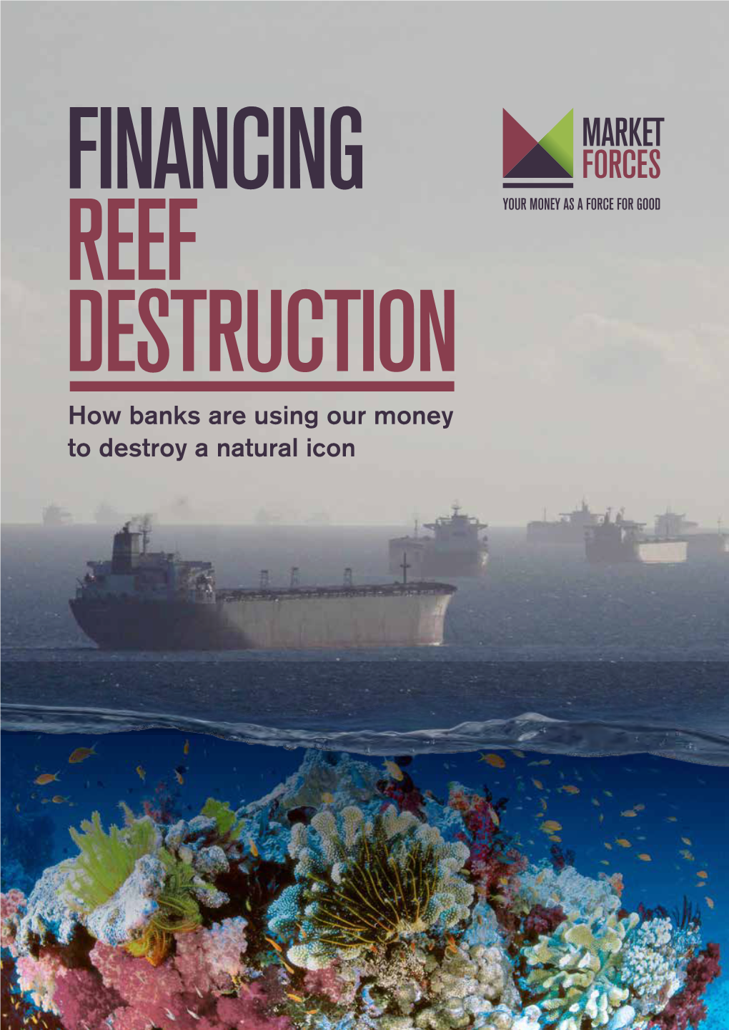 Ngo Documents 2013-05-02 00:00:00 Financing Reef Destruction How