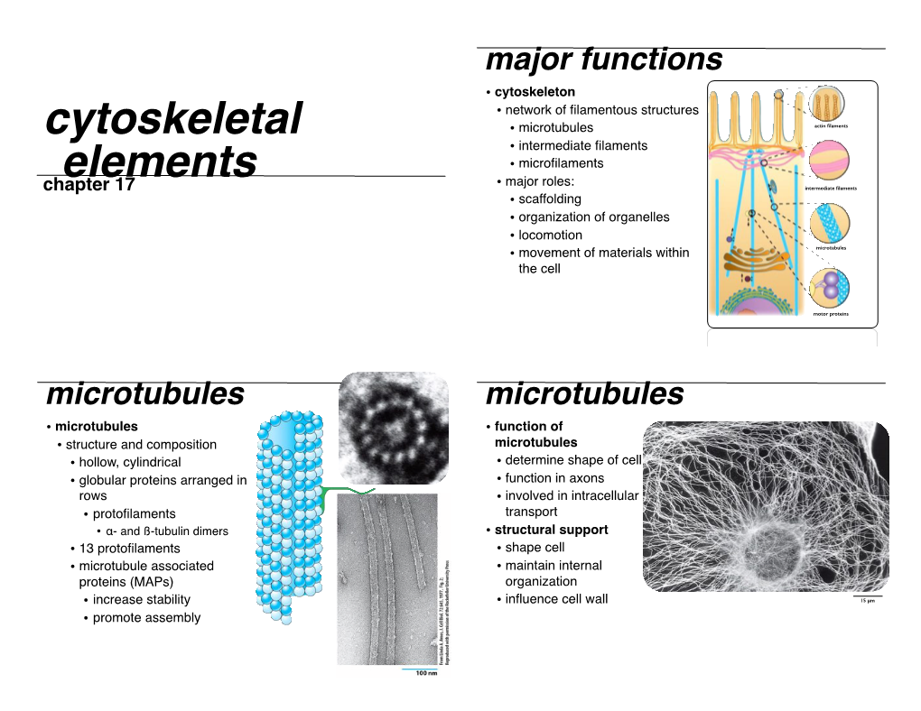 Chapter 17 Slides