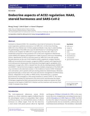 RAAS, Steroid Hormones and SARS-Cov-2