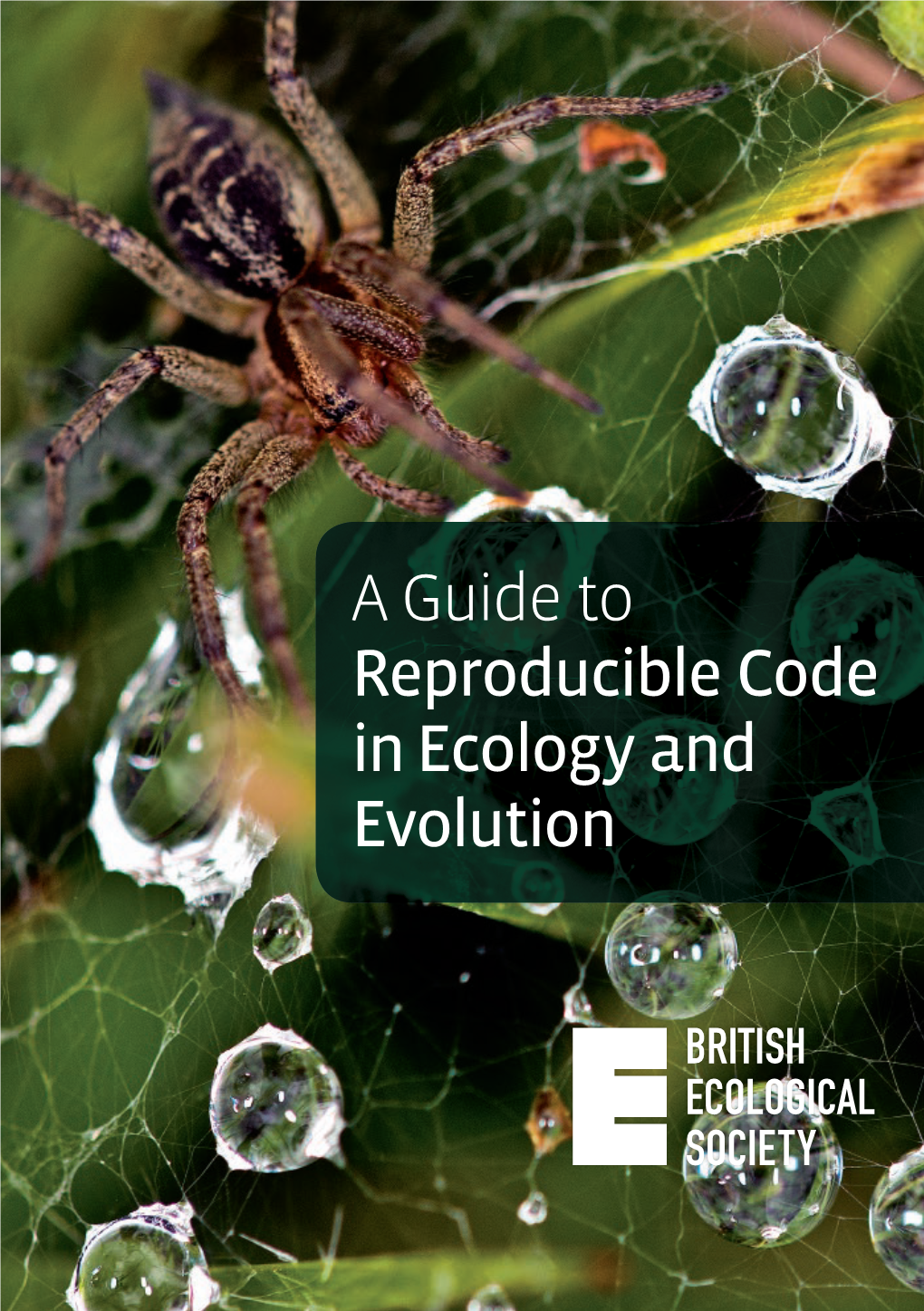 A Guide to Reproducible Code in Ecology and Evolution