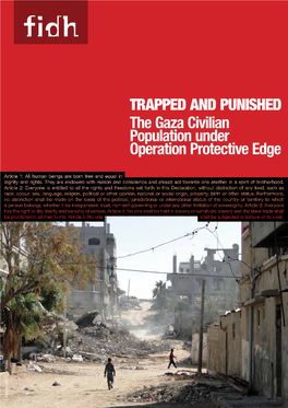 The Gaza Civilian Population Under Operation Protective Edge