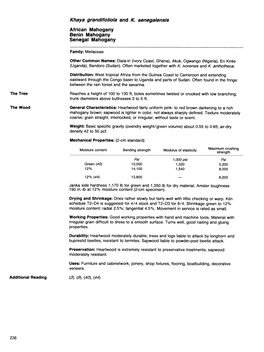 Khaya Grandifoliola and K, Senegalensis African Mahogany Benin Imahogany Senegai Imahogany