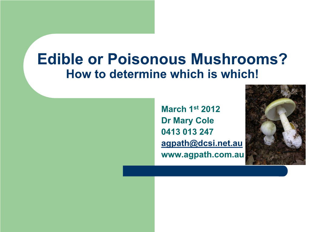 Edible Or Poisonous Mushrooms? How to Determine Which Is Which!