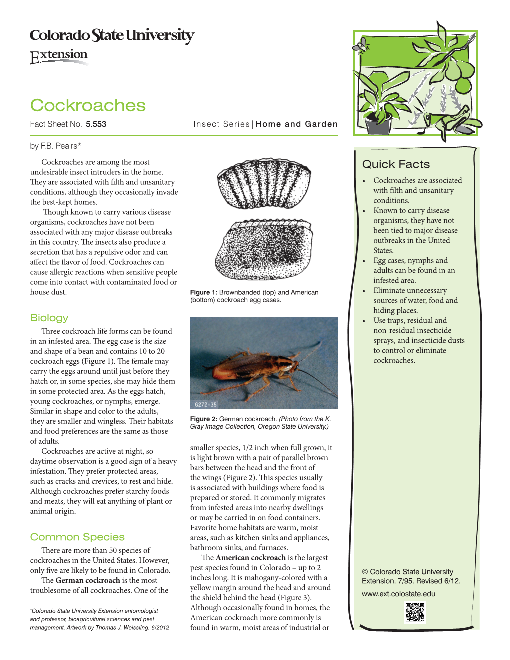 Cockroaches Fact Sheet No