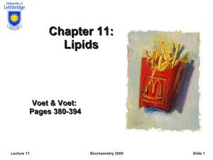 Chapter 11: Lipids