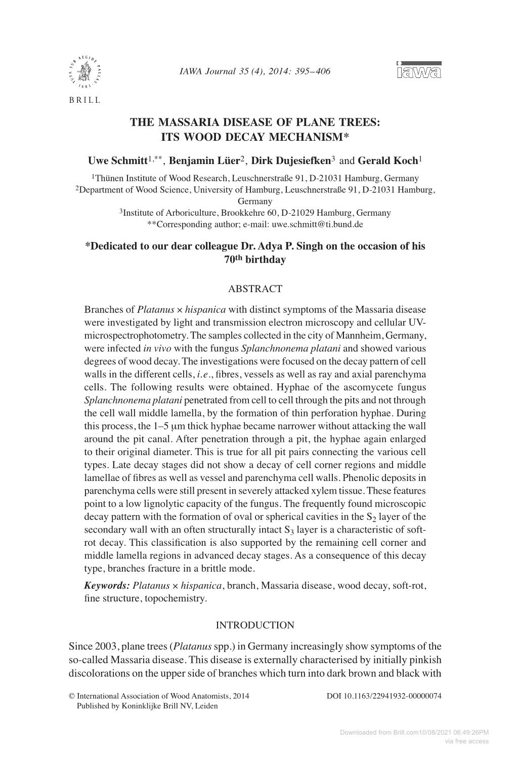 The Massaria Disease of Plane Trees: Its Wood Decay Mechanism* Uwe Schmitt1,**, Benjamin Lüer2, Dirk Dujesiefken3 and Gerald K