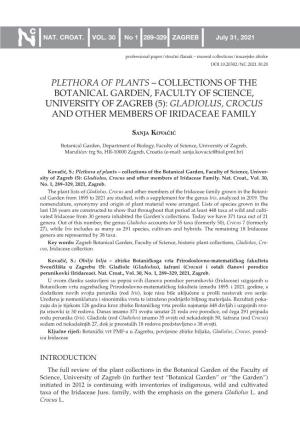 Plethora of Plants – Collections of the Botanical Garden, Faculty of Science, University of Zagreb (5): Gladiolus, Crocus and Other Members of Iridaceae Family