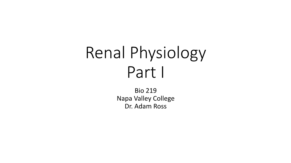 Renal Physiology Part I Bio 219 Napa Valley College Dr