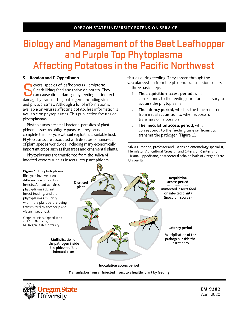 Biology and Management of the Beet Leafhopper and Purple Top Phytoplasma Affecting Potatoes in the Pacific Northwest