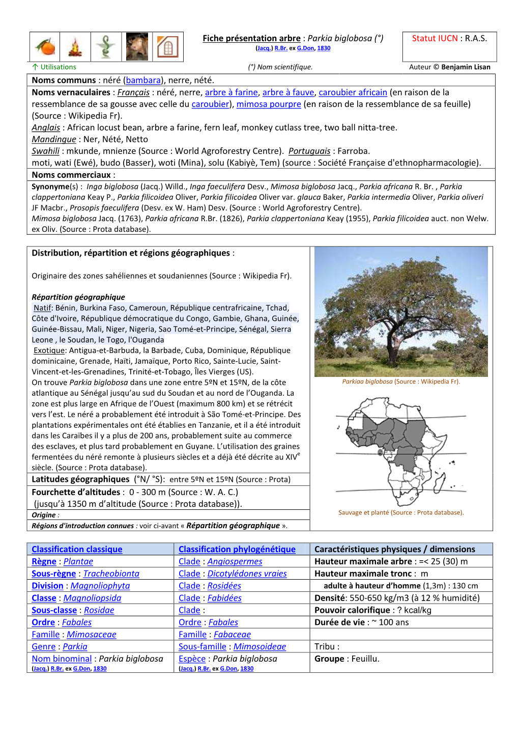 Fiche Présentation Arbre : Parkia Biglobosa (°) Statut IUCN : R.A.S