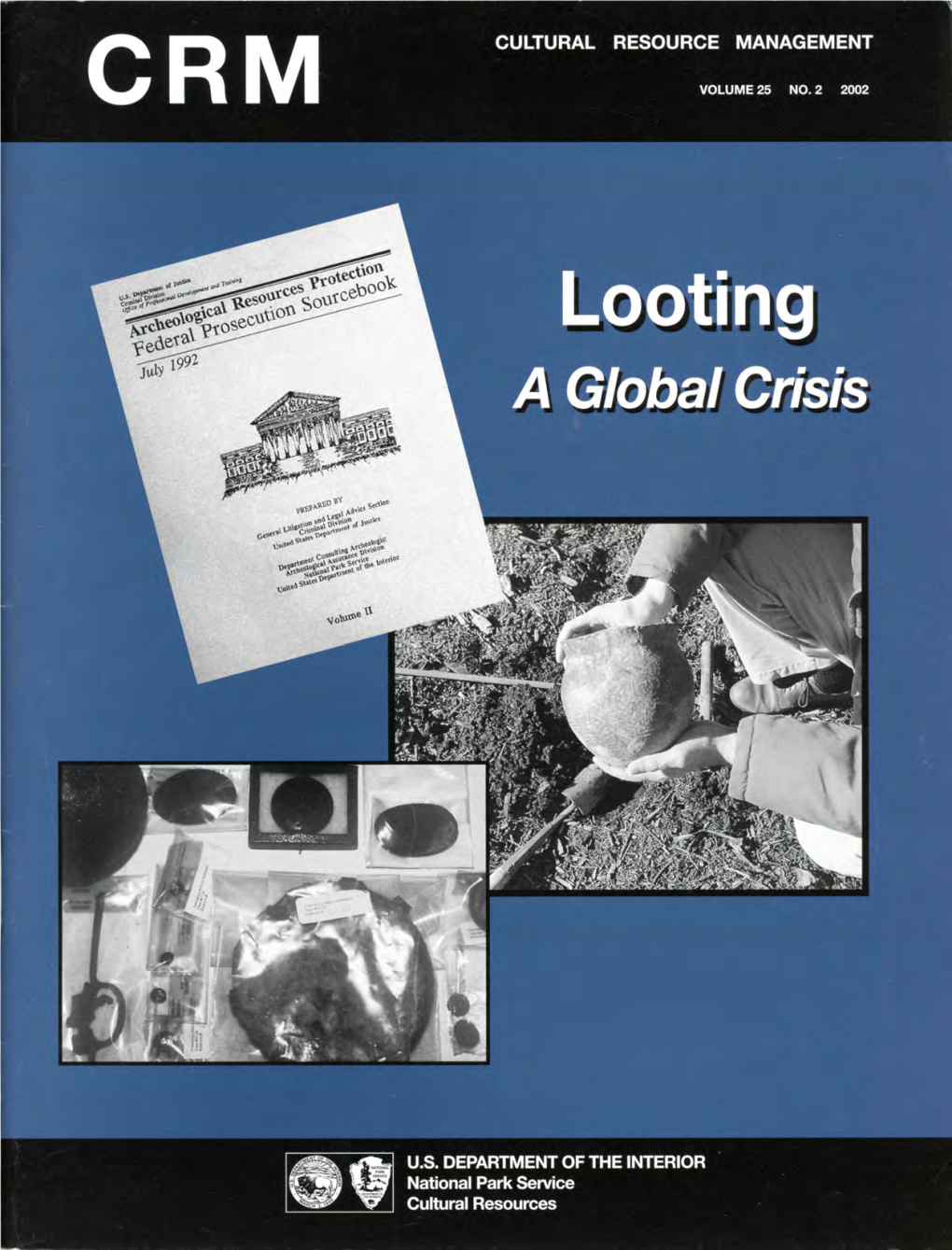 Looting a Global Crisis