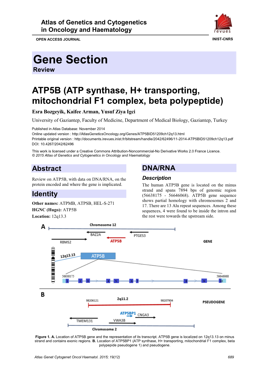 Gene Section Review