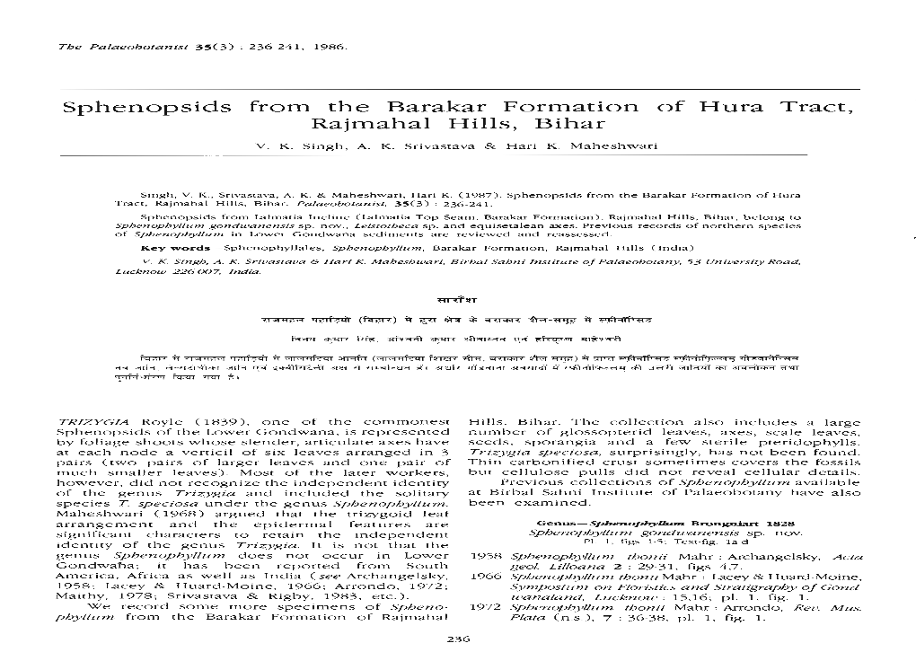 Sphenopsids from the Barakar Formation of Hura Tract, Rajmahal Hills, Bihar