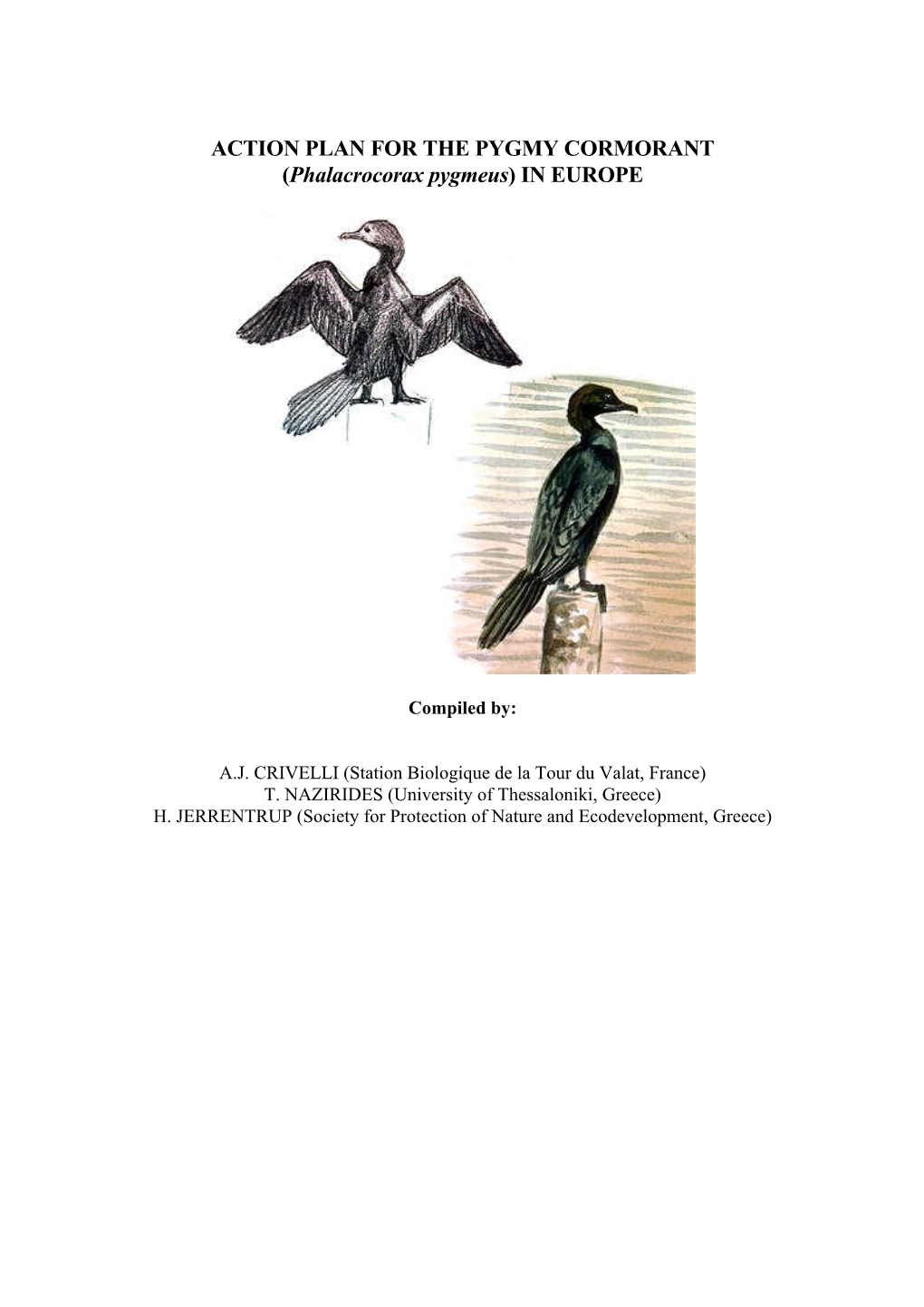 ACTION PLAN for the PYGMY CORMORANT (Phalacrocorax Pygmeus) in EUROPE