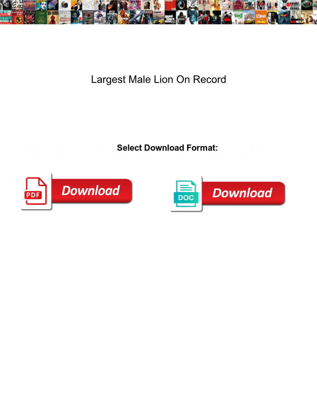 Largest Male Lion on Record