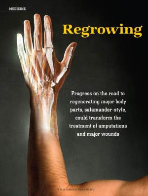 Regrowing Human Limbs