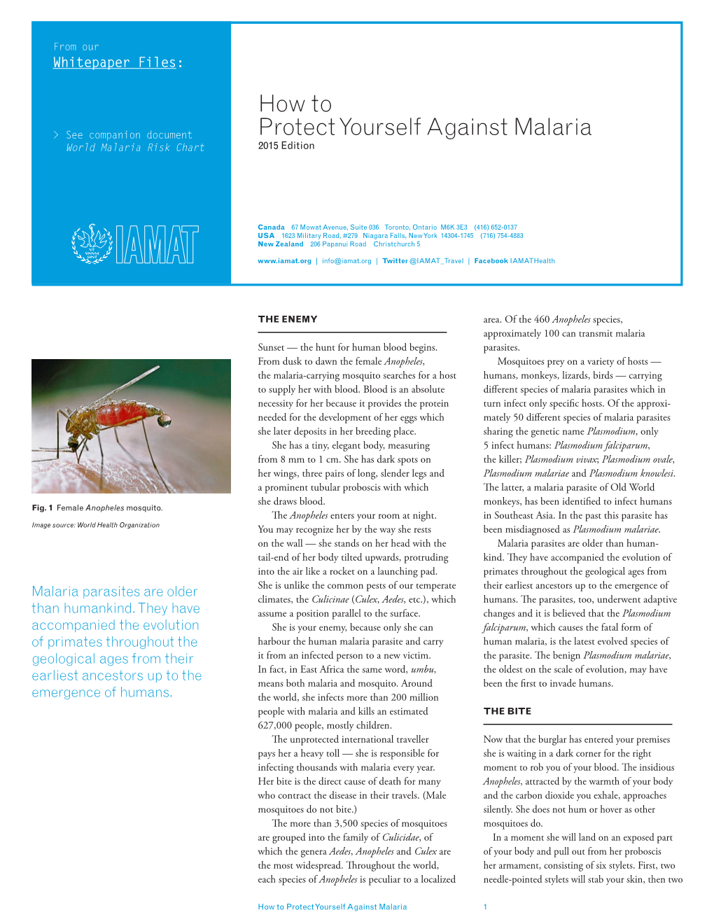 How to Protect Yourself Against Malaria 1 Fig