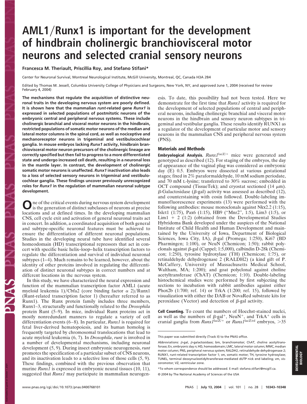 AML1 Runx1 Is Important for the Development of Hindbrain