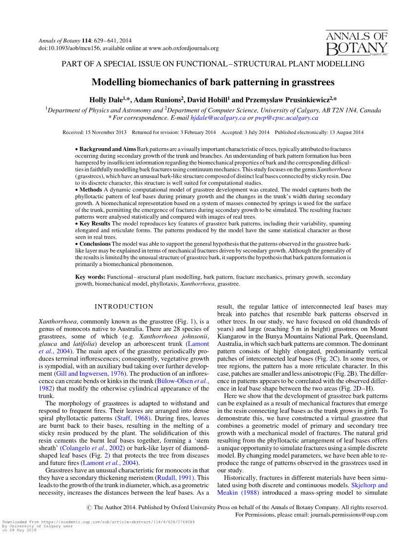 Modelling Biomechanics of Bark Patterning in Grasstrees