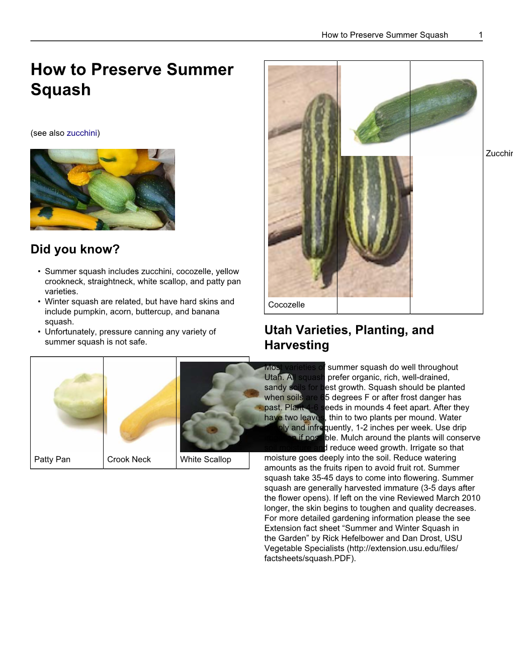 How to Preserve Summer Squash 1