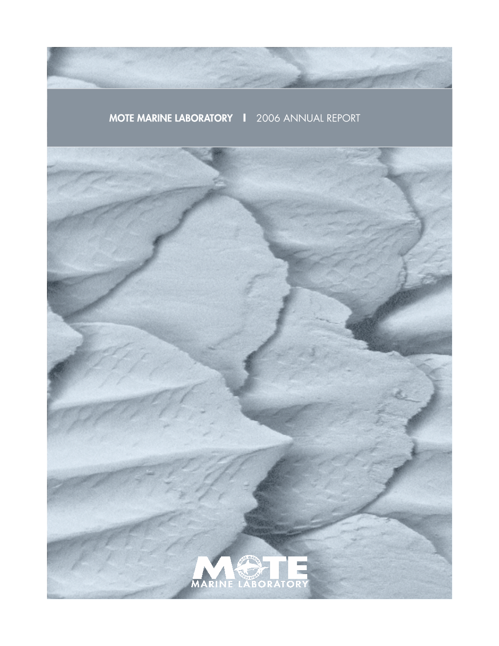 2006 Mote Marine Laboratory Annual Report