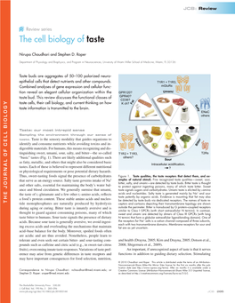 The Cell Biology of Taste