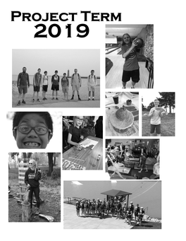 Project Term 2019