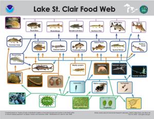 Lake St. Clair Food Web MENT of C