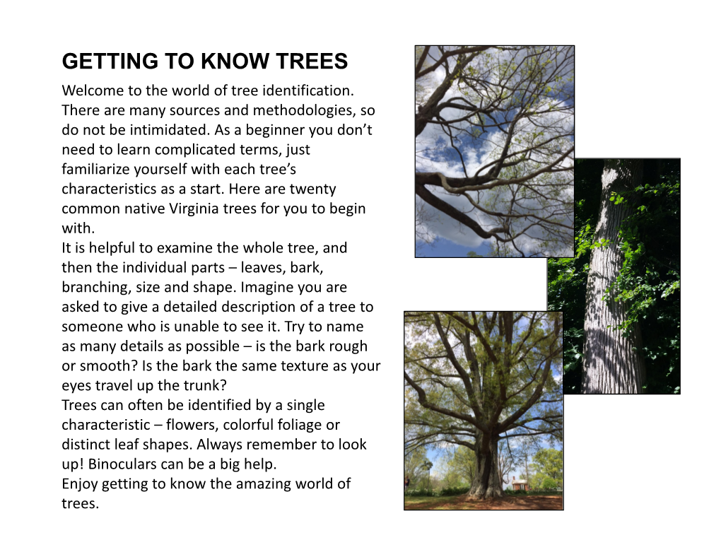 Getting to Know Trees (PDF)