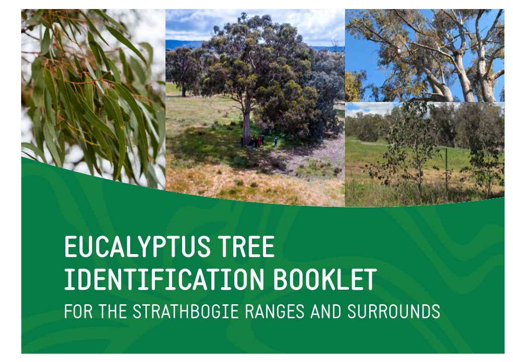 EUCALYPTUS TREE IDENTIFICATION BOOKLET for the STRATHBOGIE RANGES and SURROUNDS Logos SRCMN, GB CMA, OCOC, State Govt, Gecko Clan