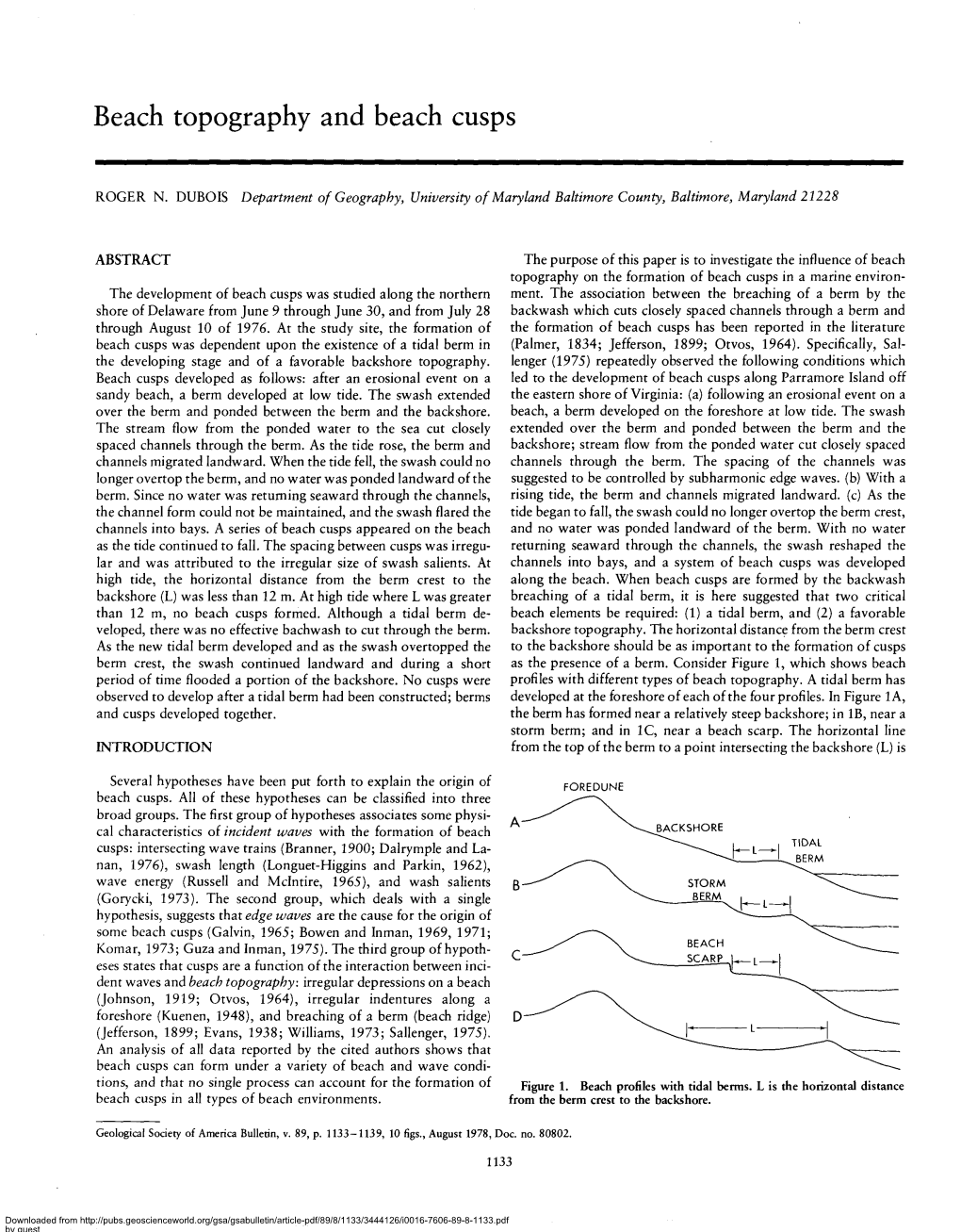 Beach Topography and Beach Cusps