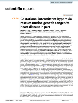 Gestational Intermittent Hyperoxia Rescues Murine Genetic Congenital Heart Disease in Part Cassandra F