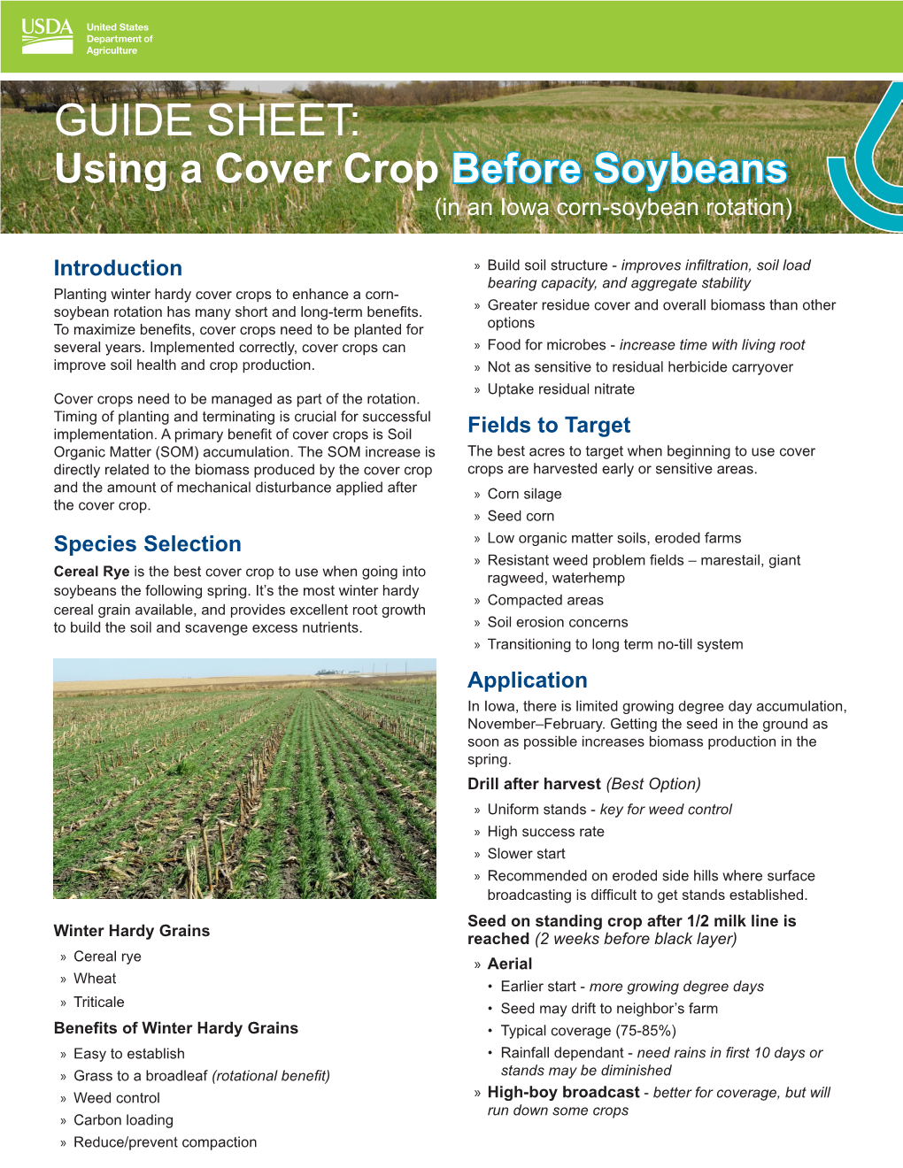 GUIDE SHEET: Using a Cover Crop Before Soybeans (In an Iowa Corn-Soybean Rotation)