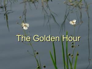 The Golden Hour Refers to the Hour Before Sunset and After Sunrise