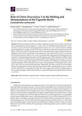 Role of Chitin Deacetylase 1 in the Molting and Metamorphosis of the Cigarette Beetle Lasioderma Serricorne