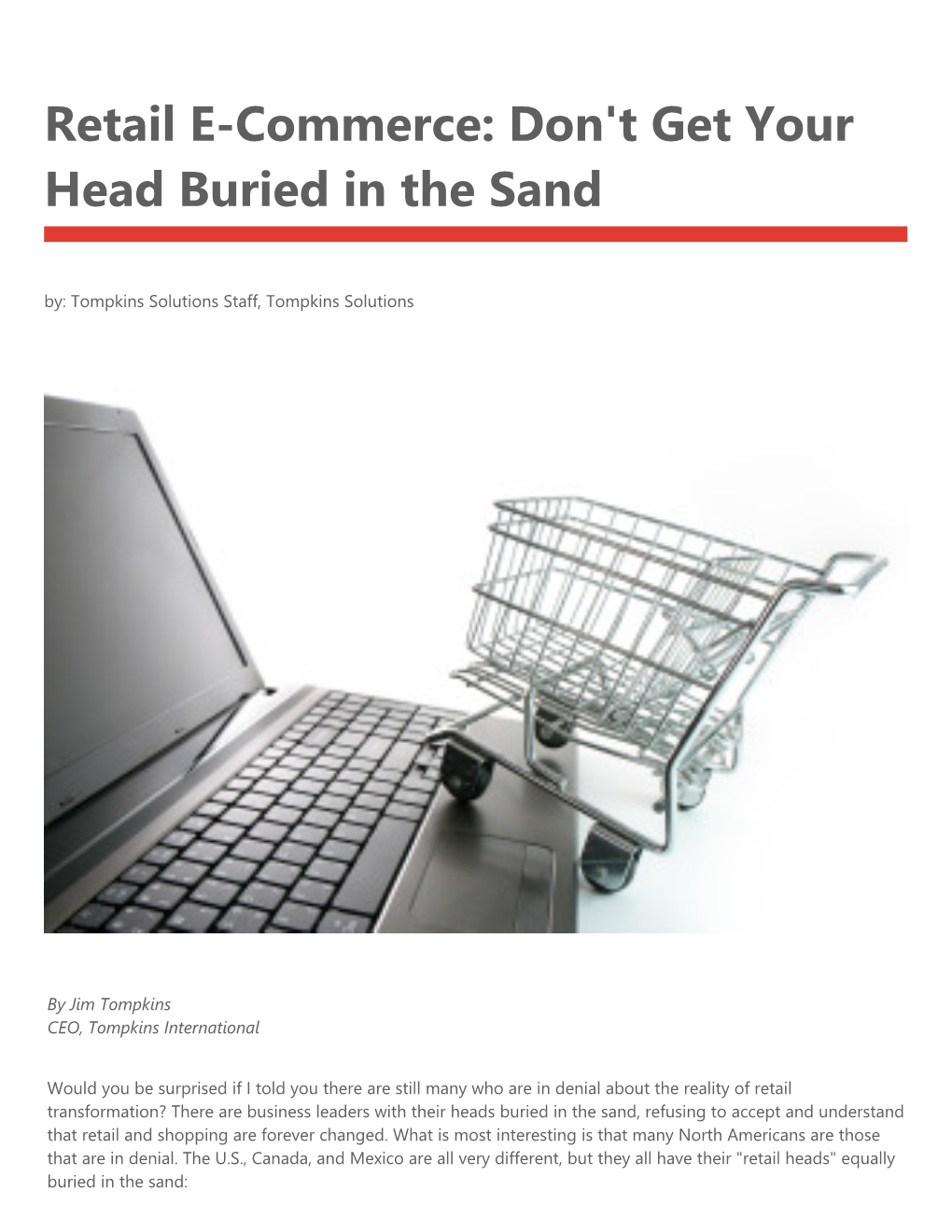 Retail E-Commerce: Don't Get Your Head Buried in the Sand