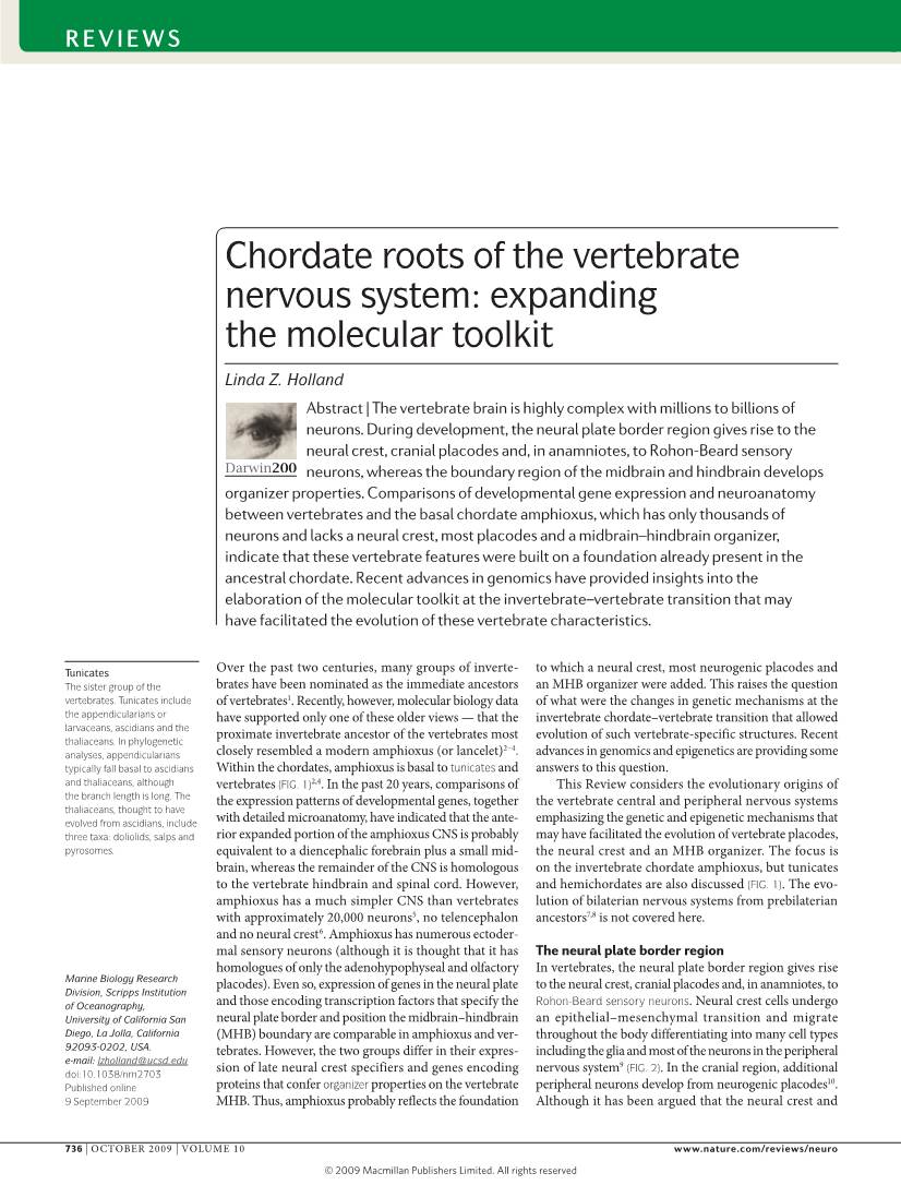 Chordate Roots of the Vertebrate Nervous System: Expanding the Molecular Toolkit