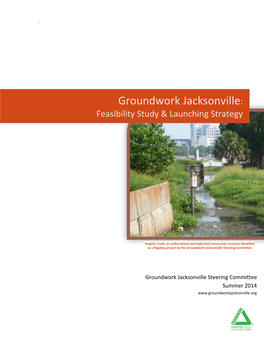 Groundwork Jacksonville Feasibility Study & Launching Strategy 2014