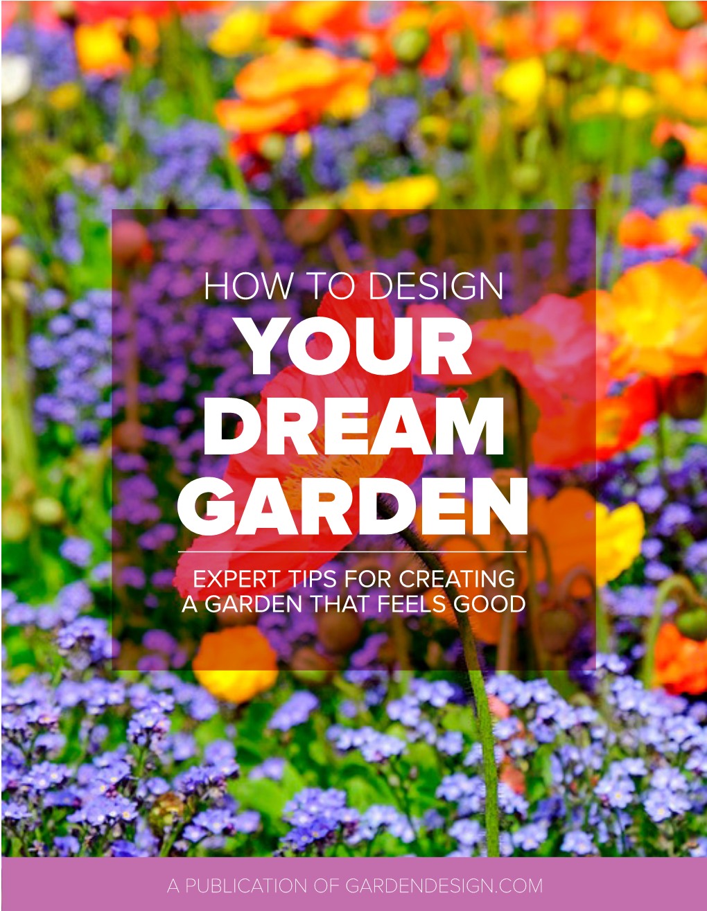 How to Design Your Dream Garden Expert Tips for Creating a Garden That Feels Good