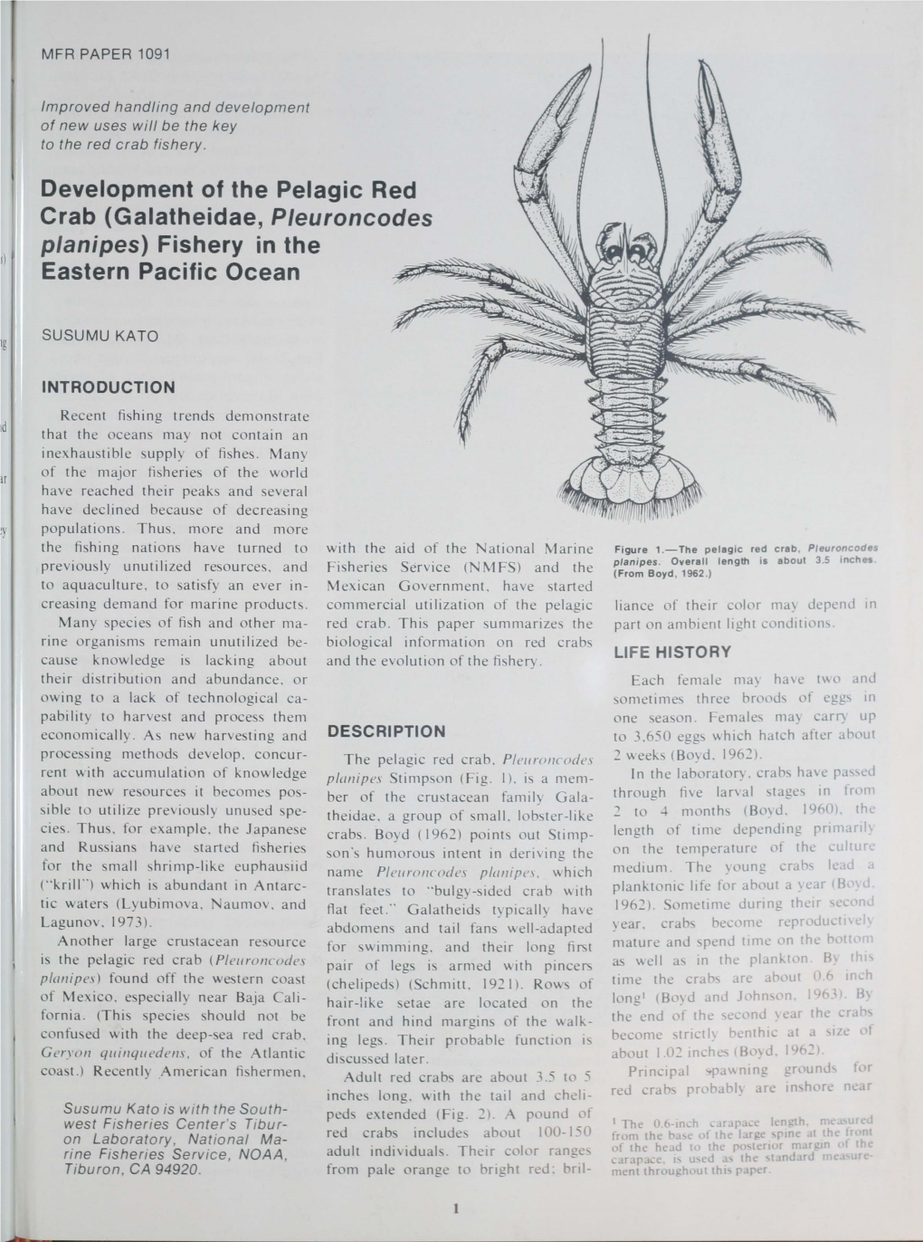 Development of the Pelagic Red Crab (Galatheidae, Pleuroncodes Planipes) Fishery in the Eastern Pacific Ocean