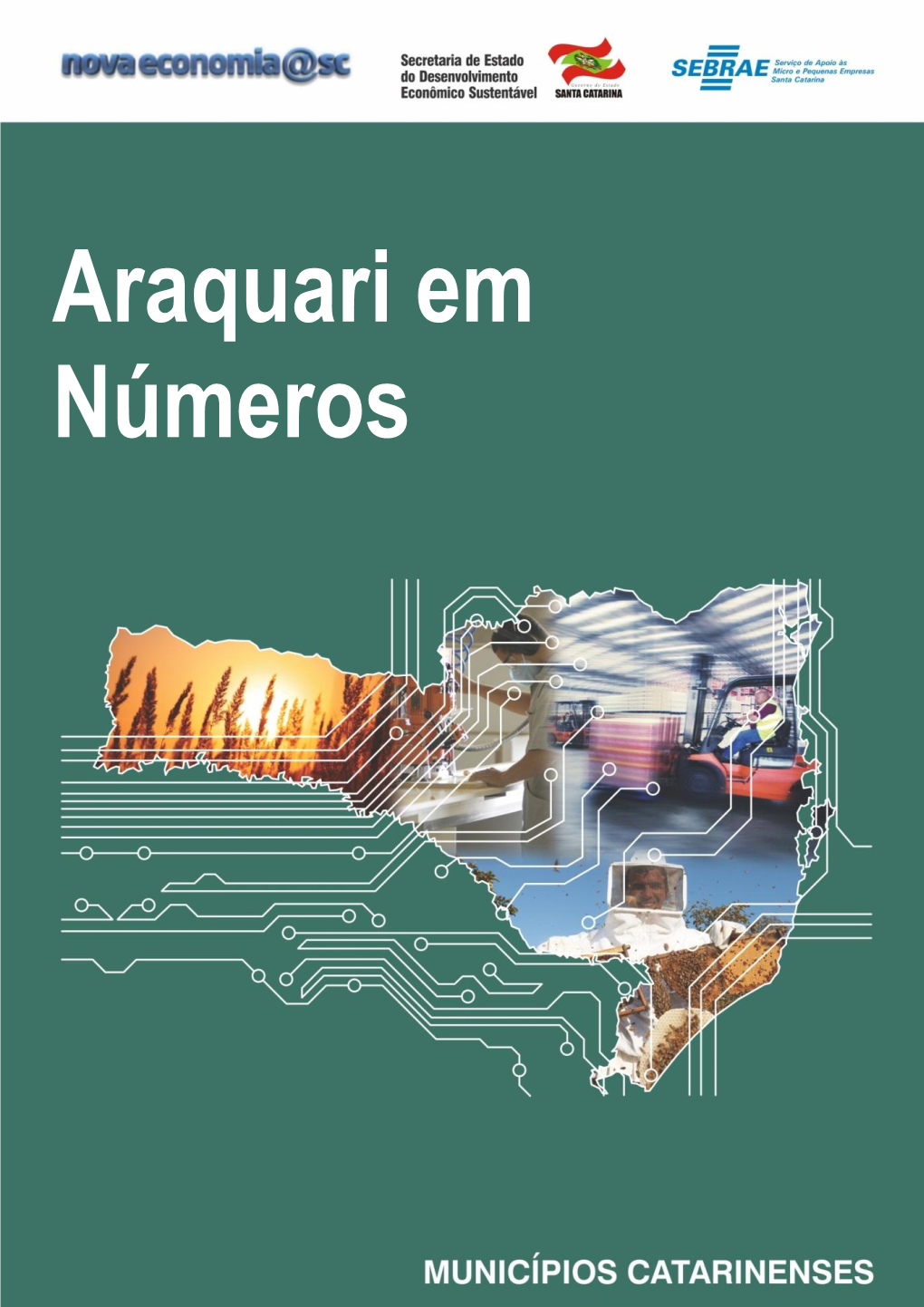 Araquari Em Números