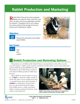 Rabbit Production and Marketing
